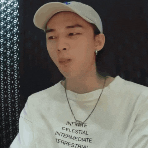 Stray Kids Skz GIF