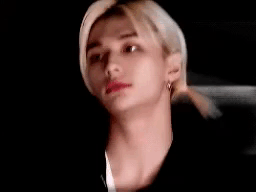 Stray Kids Skz GIF