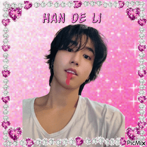 Stray Kids Stray Kids Han GIF