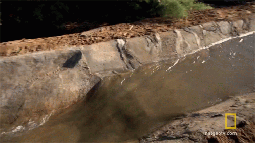 Stream Brook GIF. This 498 x 280 animated GIF is part of our thanks for watching in water collection. Created by nationalgeographic. View the original…