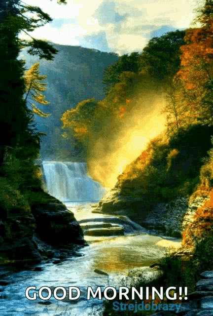 Strejdobrazy Nature GIF