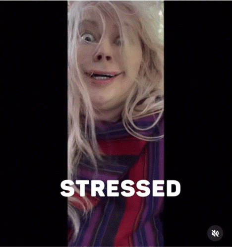 Stressed Stressed Out GIF