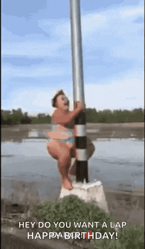 Stripper Pole Dancing GIF