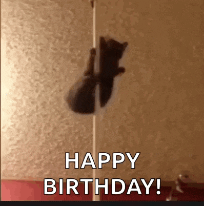 Stripper Poledance GIF