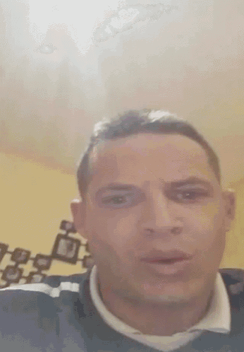 Stu Reid GIF