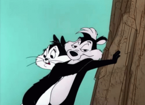 Stuck Up Cat GIF