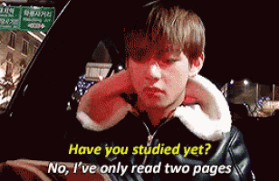 Studied Lazy GIF