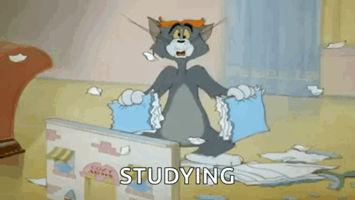 Study Studying GIF