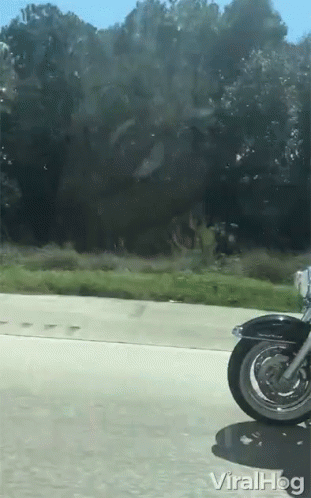 Stunt Motorcycle GIF
