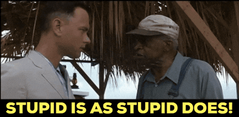 Stupid Is As Stupid Does Stupid People GIF. This 480 x 236 animated GIF is part of our stupid is as stupid does collection. Related themes include stupid…