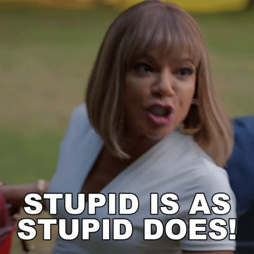 Stupid Is As Stupid Does Tasha Mack GIF. This 498 x 498 animated GIF is part of our stupid is as stupid does collection. Created by paramountplus. View the…