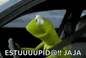 Stupid Kermit The Frog GIF