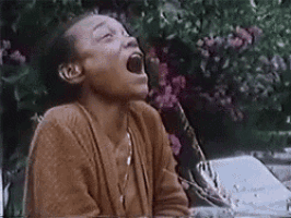 Stupid Laugh GIF