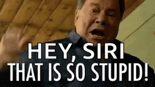 Stupid So Stupid GIF