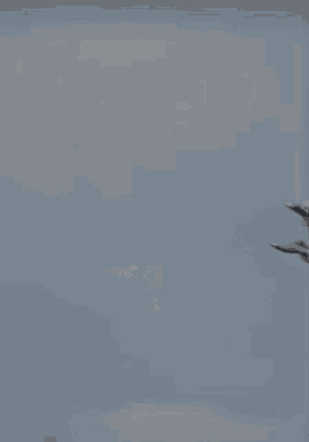 Su 57 GIF