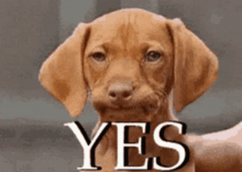 Succes Good Luck GIF