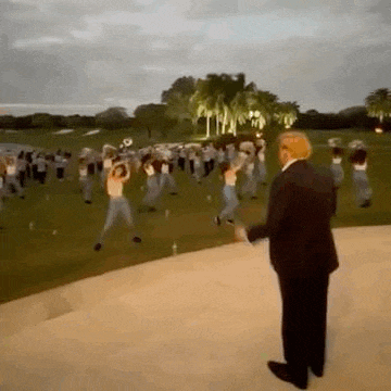Suddenly Stop GIF