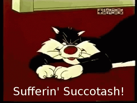 Suffering Succotash GIF