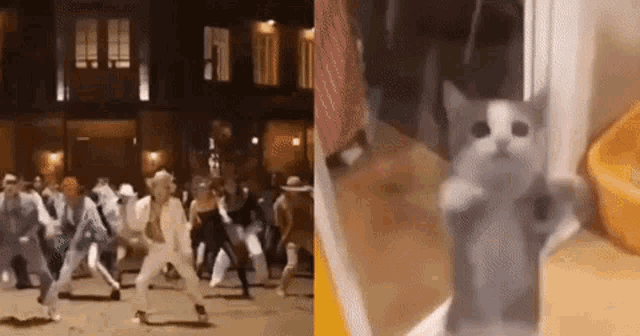 Suga Cat Dance Bts Suga GIF