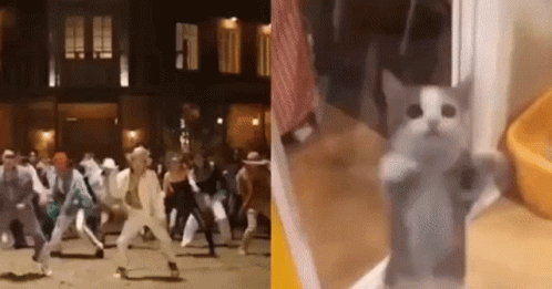 Suga Cat Dance Bts Suga GIF