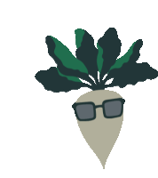 Sugarbeet Zuckerrbe Sticker
