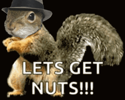 Sugarbush Nuts GIF