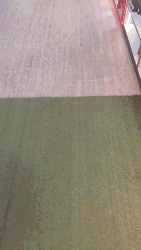 Suhaag Chivas GIF