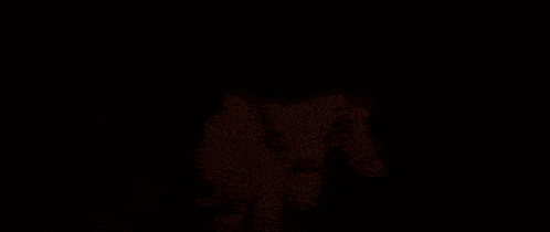 Sukuna Jogo GIF