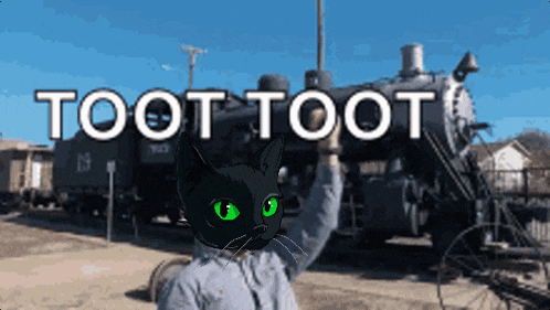 Sumi Sumicat GIF