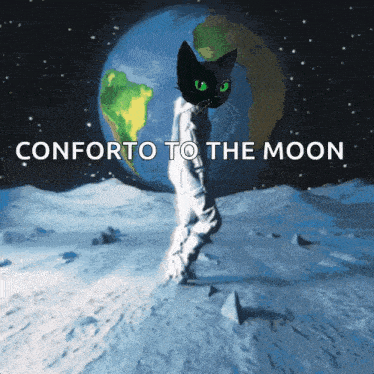 Sumicat Catsumi GIF