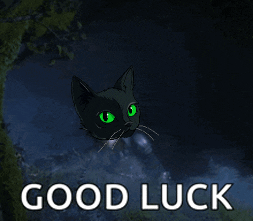 Sumicat Sumi GIF