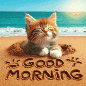 Summer Cat GIF