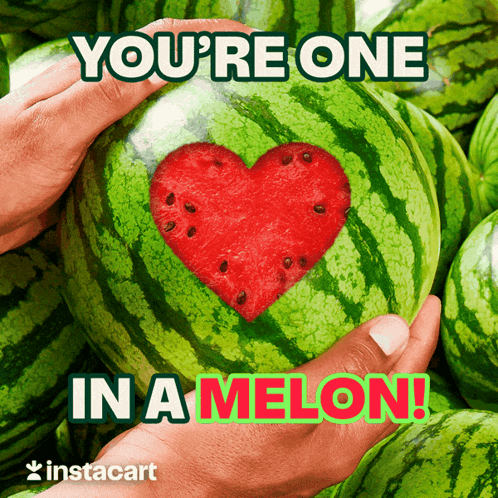 Summer Melon GIF