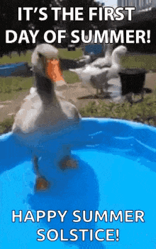 Summer Solstice 2023 GIF