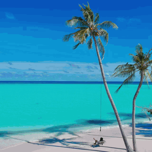 Summertime Camiletta GIF