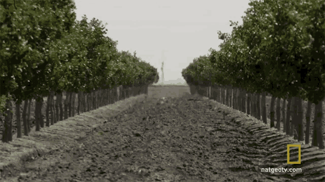 Sun Farming GIF
