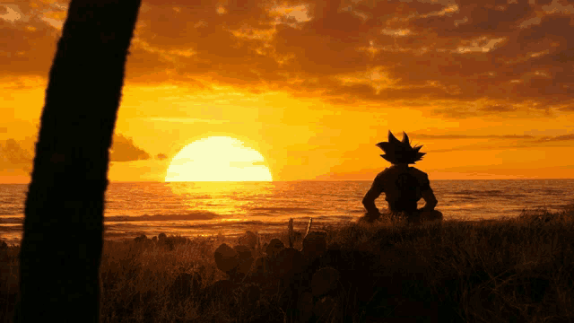 Sun Goku Meme