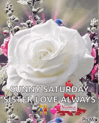 Sun Shiny Live Every Day GIF