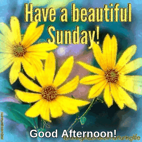 Sunday Afternoon GIF