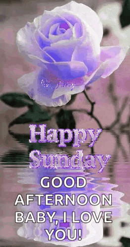 Sunday Blessings GIF
