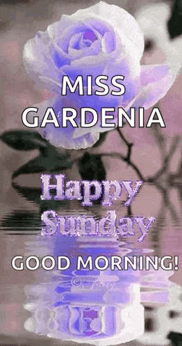 Sunday Blessings GIF