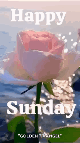 Sunday Good Morning Images Sunday Morning Blessings GIF