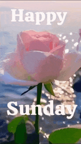 Sunday Good Morning Images Sunday Morning Blessings GIF