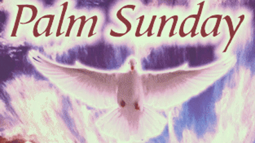 Sunday Happy GIF