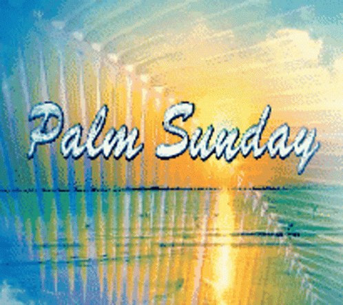 Sunday Happy GIF