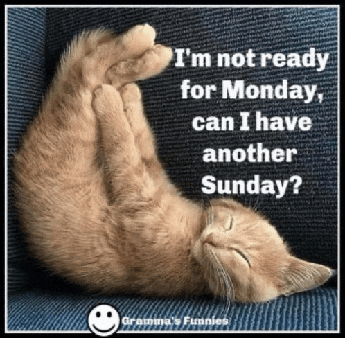 Sunday Monday Meme