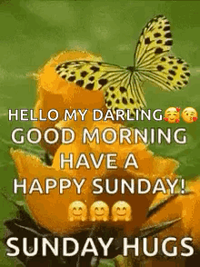 Sunday Morning Prayers And Blessings GIF. This 220 x 294 animated GIF is part of our guten morgen sonntag collection. Created by cbaldizo. View the original…