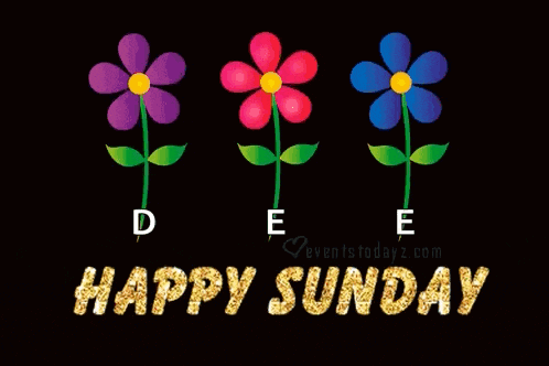 Sunday GIF