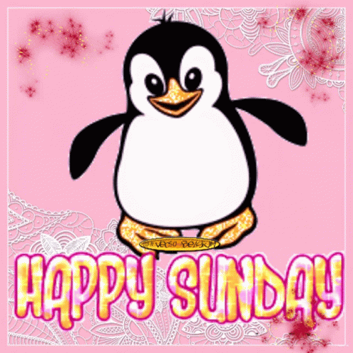 Sunday Vec50 GIF
