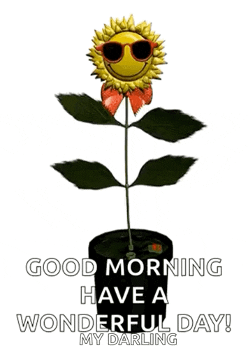 Sunflower Dance GIF